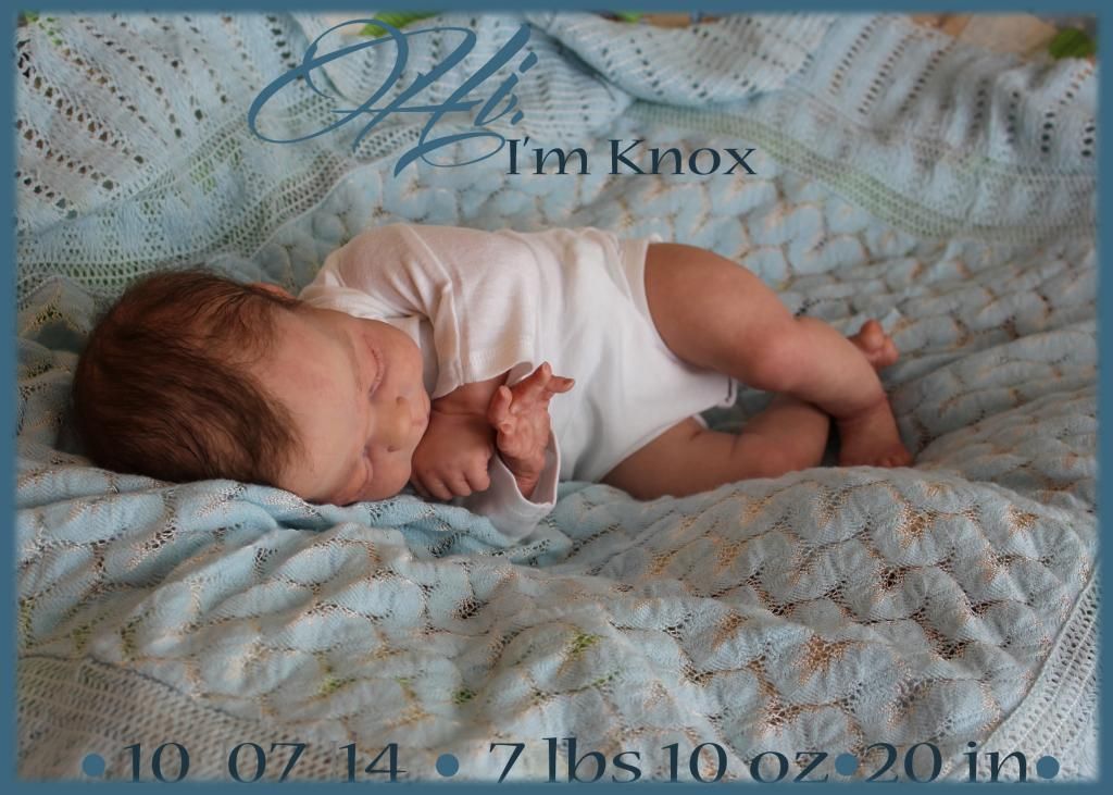 kit reborn knox